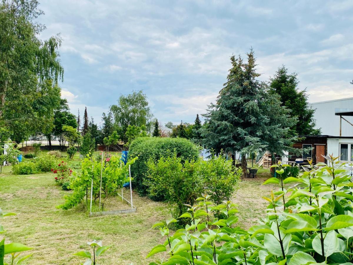 Pension Florion Бернбург Екстериор снимка