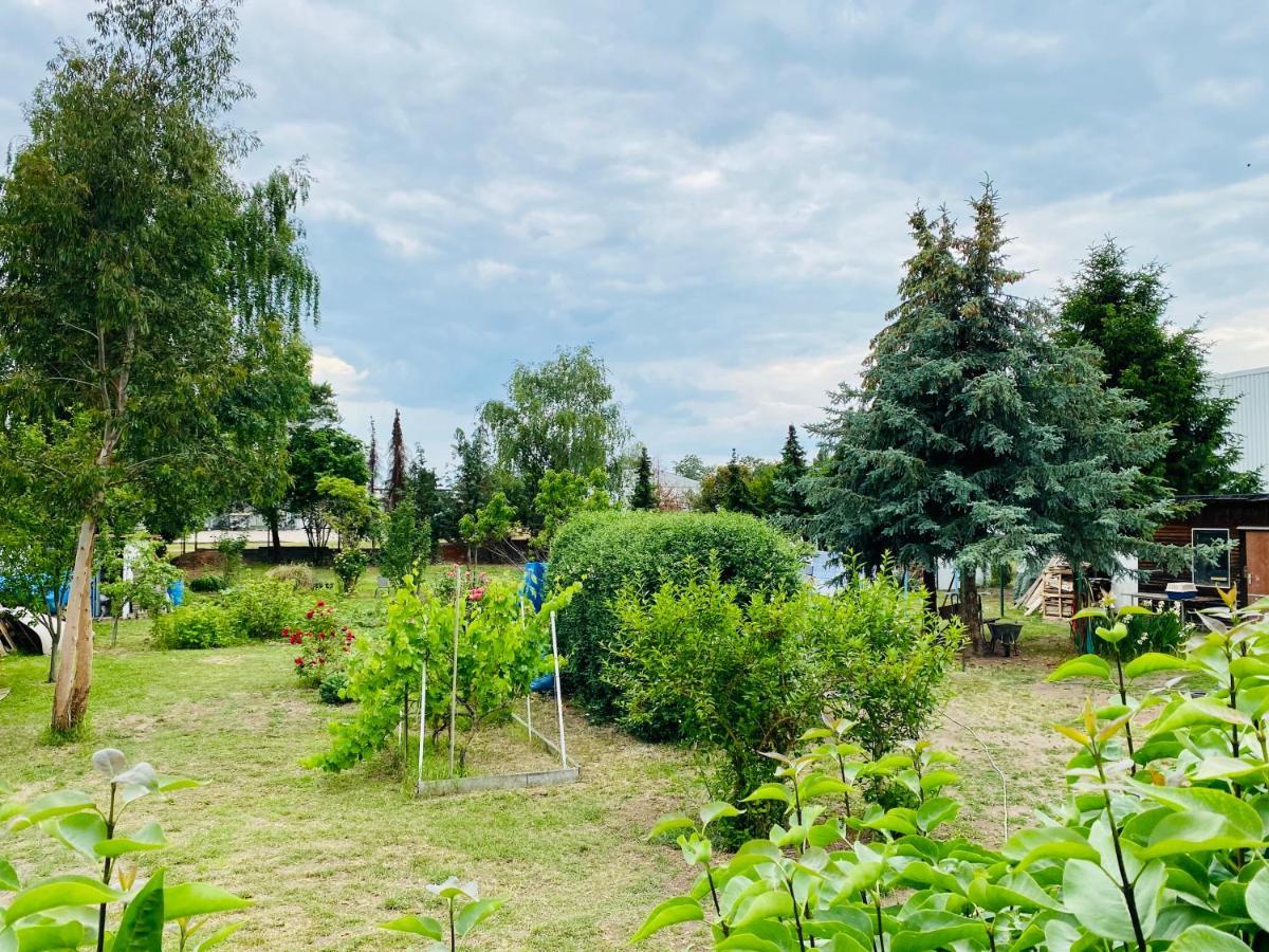Pension Florion Бернбург Екстериор снимка
