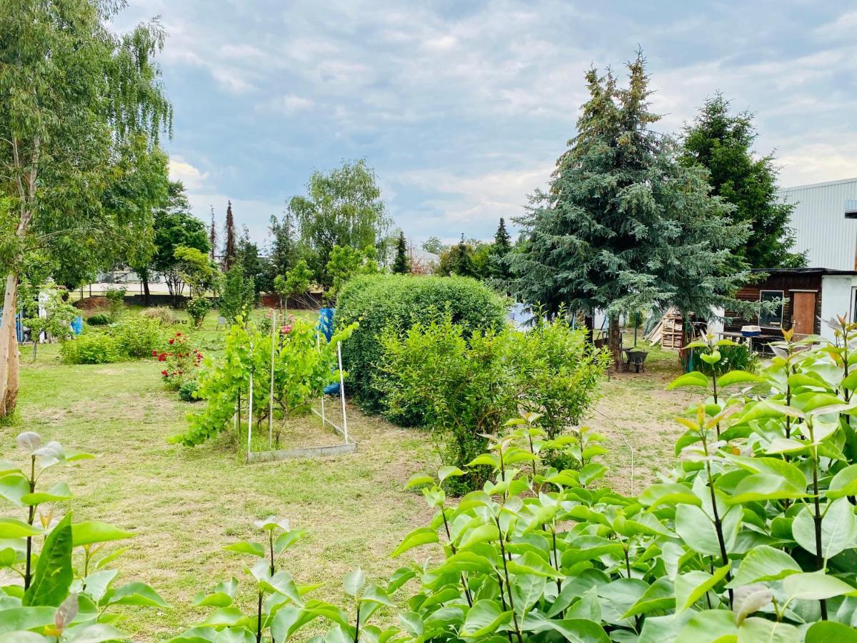 Pension Florion Бернбург Екстериор снимка